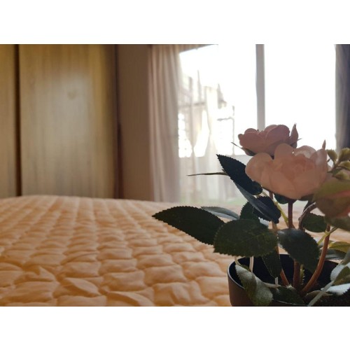 img-property