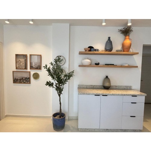 img-property